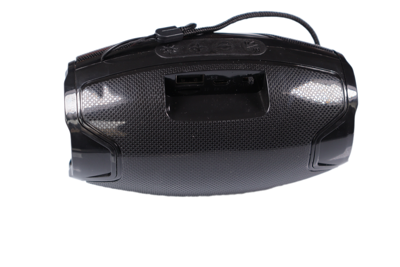 Enceinte Portable avec Lampe Torche (AO-105)