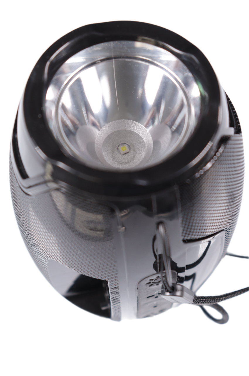 Enceinte Portable avec Lampe Torche (AO-105)