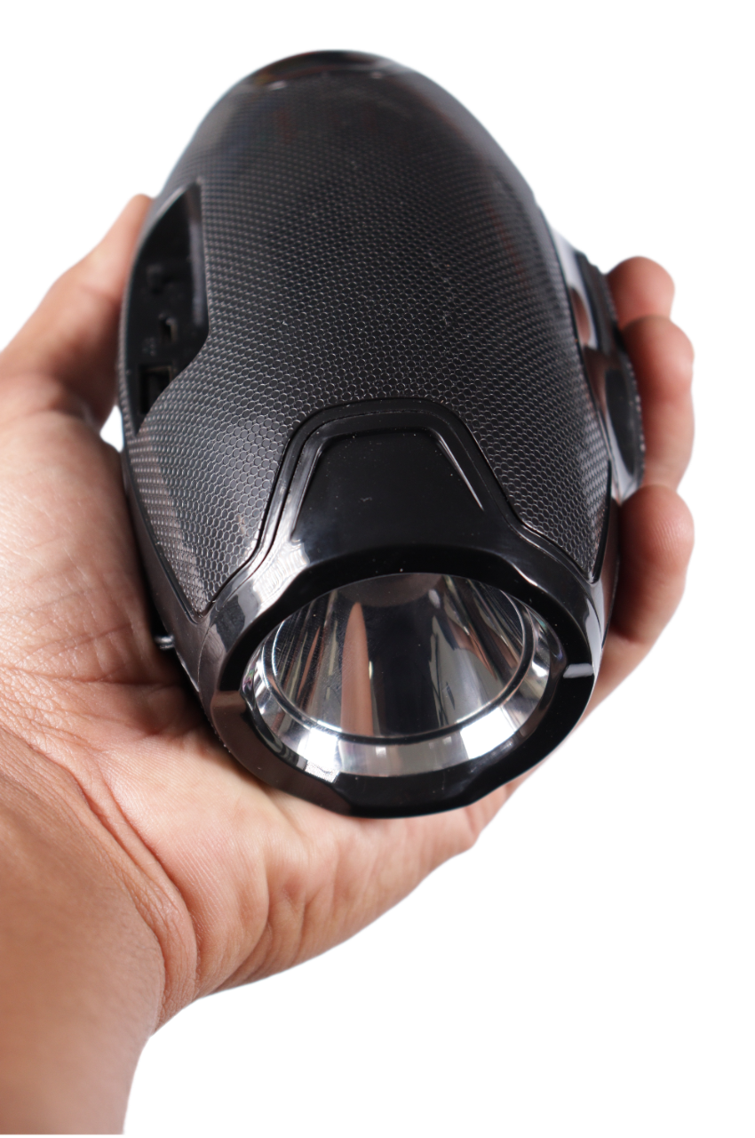 Enceinte Portable avec Lampe Torche (AO-105)