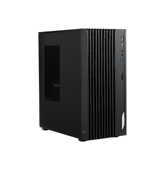 PC de bureau MSI Pro DP180 13 + Écran MP251 24"