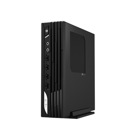 Mini PC de bureau MSI Pro DP21 (9S6-B0A421-862)
