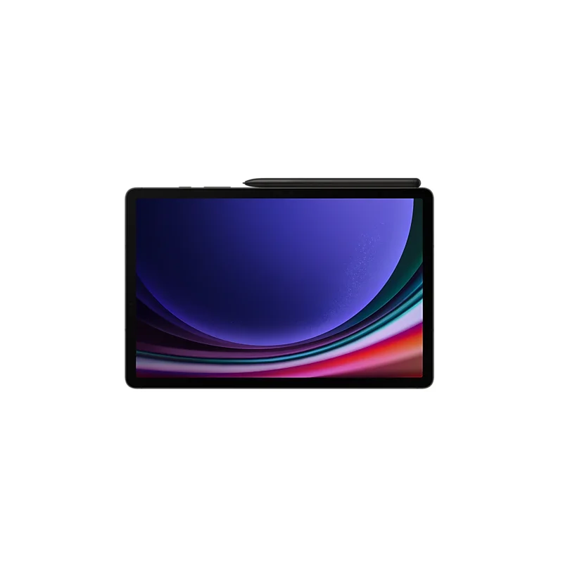Tablette Samsung Galaxy Tab S9 8GB_128GB Graphite (SM-X716BZAAMWD)